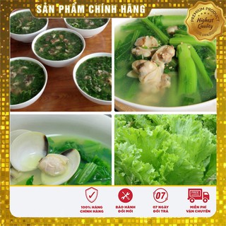 COMBO 5 gói hạt giống cải bẹ mào gà TẶNG 1 phân bón