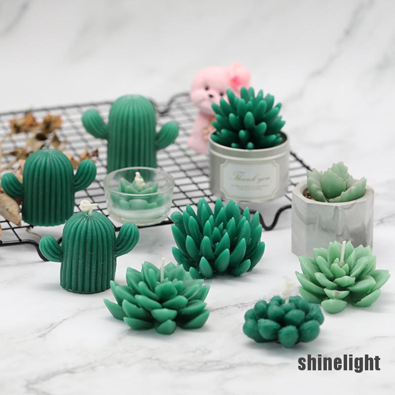 Khuôn Làm Bánh Chất Liệu Silicone Hình Cây Xương Rồng 3d