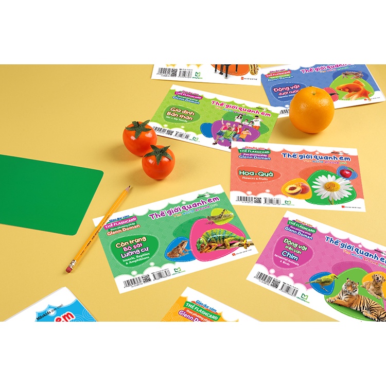 Flashcard cho bé - Bộ thẻ học thông minh Glenn Doman TNBOOKS Thế Giới Xung Quanh - Giáo dục sớm cho bé
