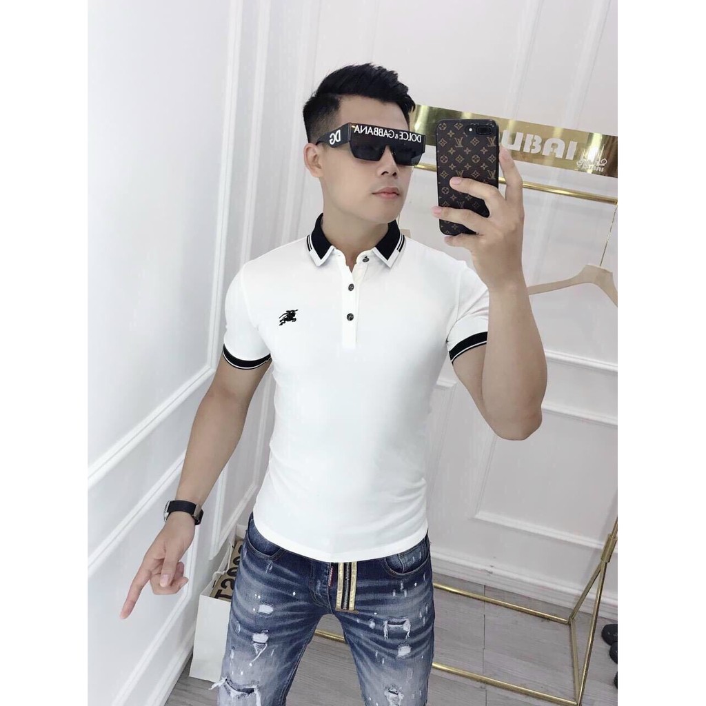 Áo thun cổ bẻ polo cao cấp vải thun cotton siêu co dãn hàng chuẩn shop Phuongnamshop20 kv1e