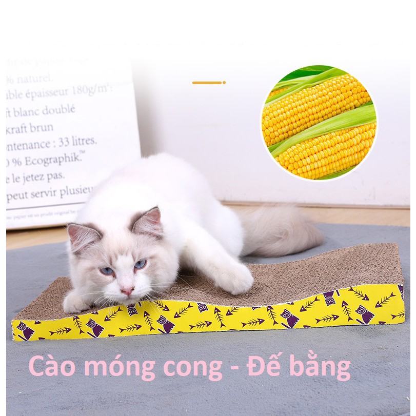 Hanpet.GV- Cào móng mèo bằng giấy (có 5 loại) - bàn cào móng cho mèo kiêm mài móng