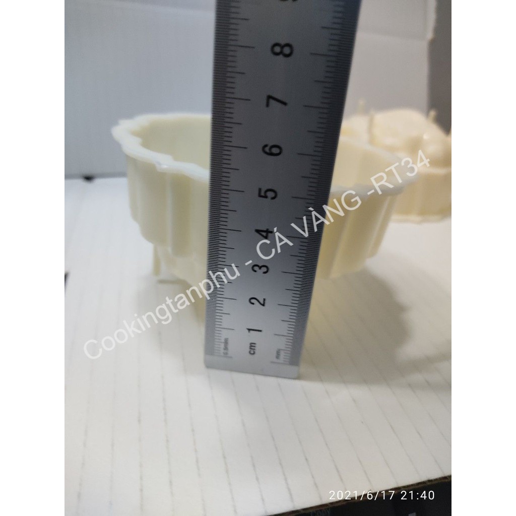 2 KHUÔN RAU CÂU TRUNG THU HÌNH CÁ VÀNG 10 x 4.5
