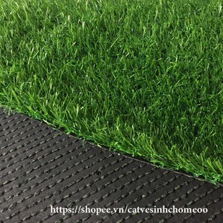 [ 2M x 0,5M  ] cỏ nhựa nhân tạo 2cm