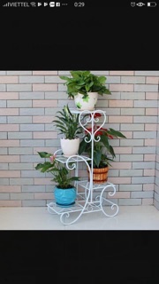 Kệ sắt để chậu hoa kiểu dáng mới ạ