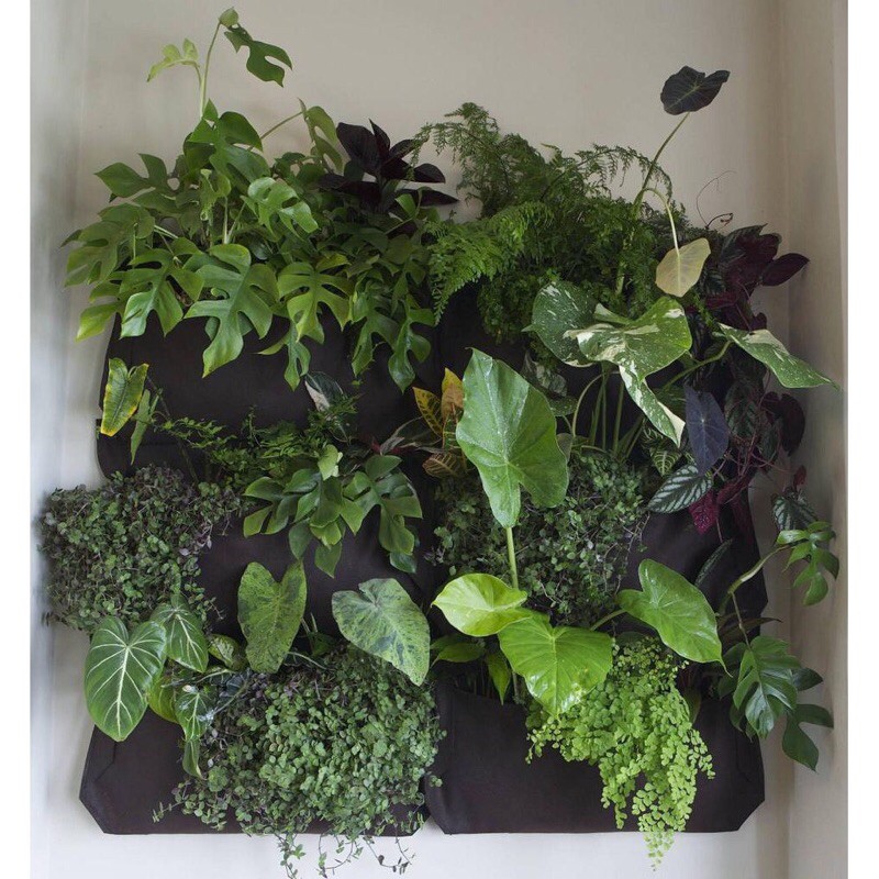 Túi trồng cây treo tường 9 hốc FL-GB9, Túi trồng hoa, rau, cây cảnh treo tường trang trí