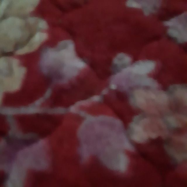Bo be gai thu