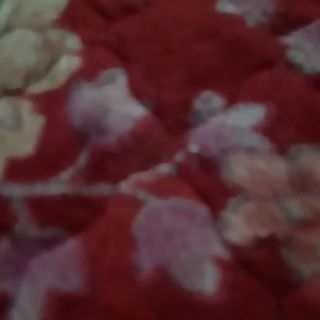 Bo be gai thu