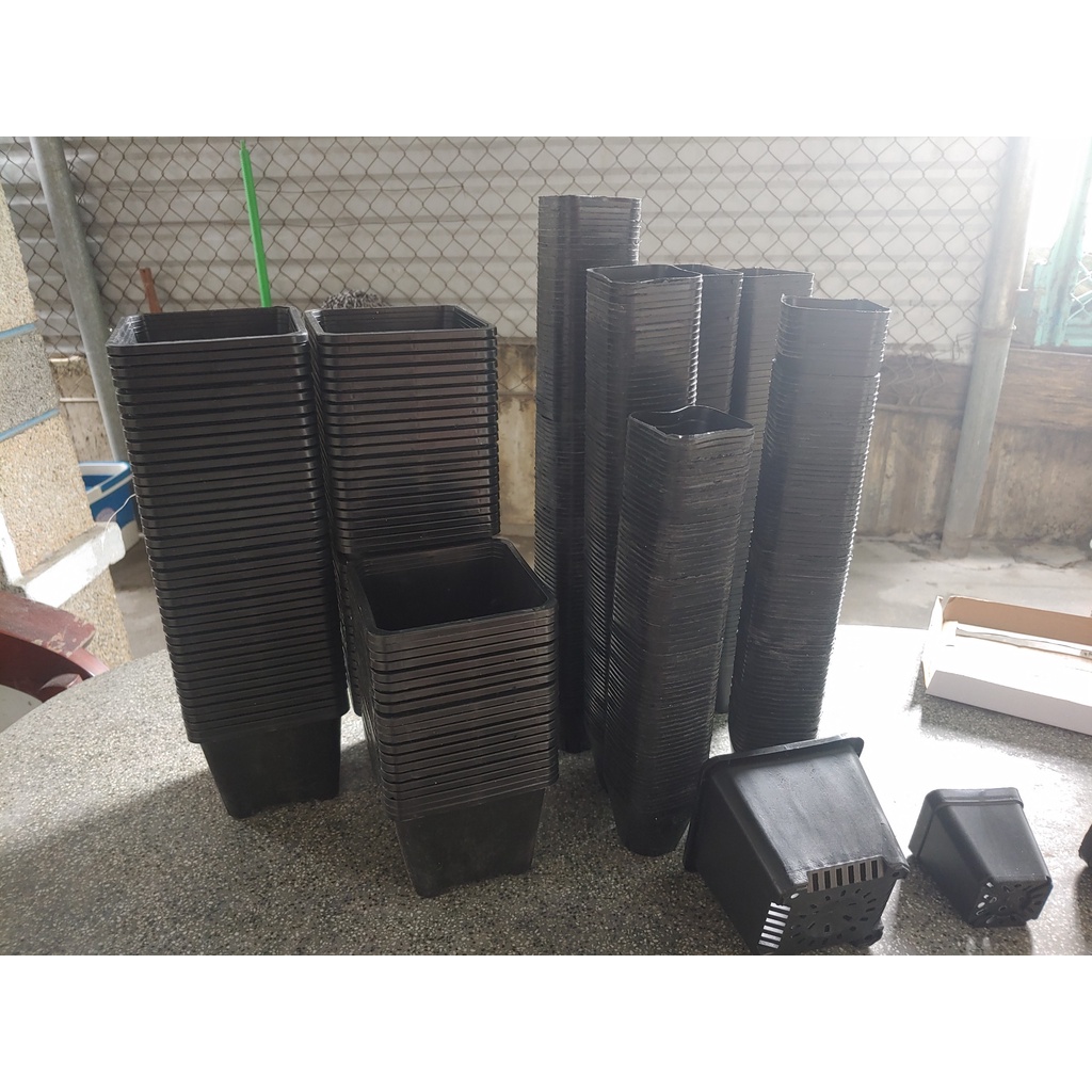 Châu Vuông Nhựa Đen Trồng Cây Sen Đá Cây Bắt Mồi Cây Ăn Thịt Nhiều Kích Thước 6.5 cm - 7cm - 15 cm