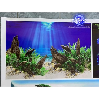 tranh 3d. tranh dán bể cá thủy sinh, bể cá rồng (tranh lưng)