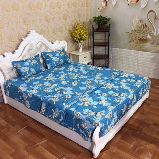 Sét chăn ga gối trần bông