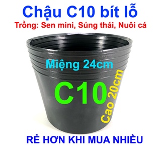 Chậu nhựa trồng cây C10 bít lỗ chậu trồng sen mini, nuôi cá