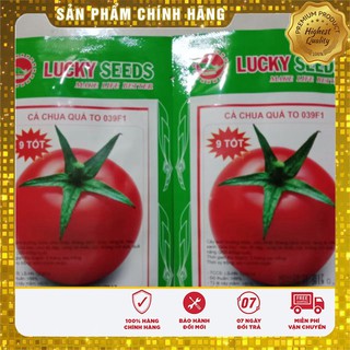 Hạt Giống Cà Chua Ấn Độ F1 Siêu Quả To