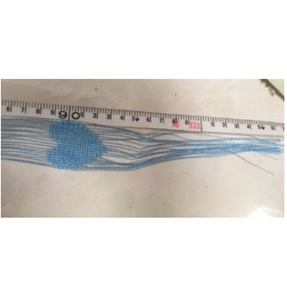 Rèm cửa trái tim ( R: 1m x D: 2m - không có thanh treo )