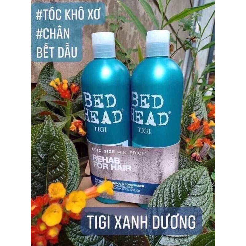 💢TIGI XANH DƯƠNG ✌️DÀNH CHO DA ĐẦU Có DẦU TÓC BẾT VÀ CÓ GẦU Ở CHÂN TÓC