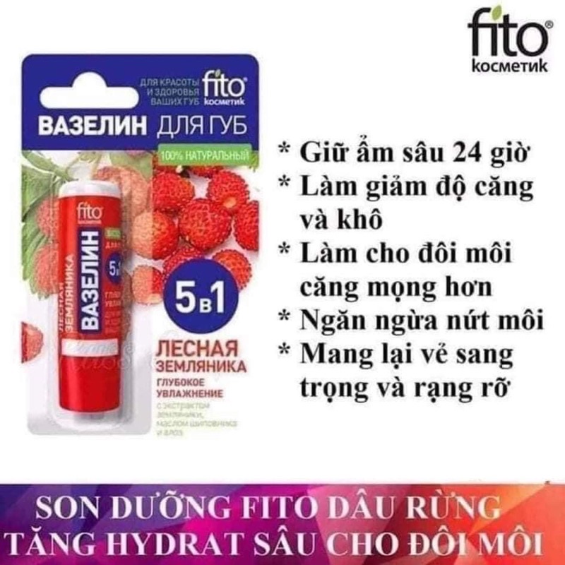 Son Dưỡng Môi Hương Trái Cây Fito Nga Và Son 5in1 Fito- Nội Địa Nga