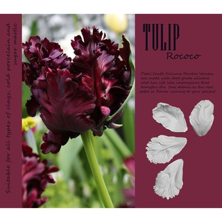 Tulip Rococo- khuôn silicone vân hoa đất hoa đường