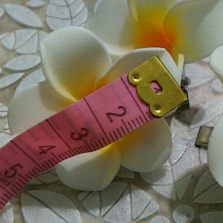 3 KẸP TÓC HOA SỨ 4CM