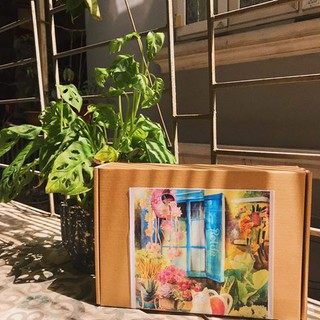 Bộ xếp hình Rolife
