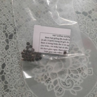 Hạt giống sương sâm lông