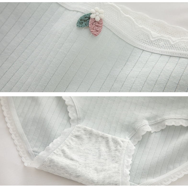 Set 5 quần lót cotton nữ đẹp cao cấp co giãn thấm hút mồ hôi màu trơn đơn giản CT09 - Her Slewpwear