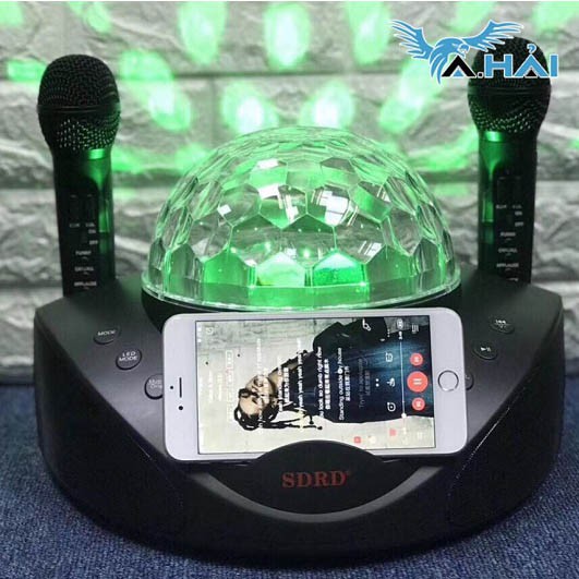 Loa Karaoke Bluetooth SDRD SD-308