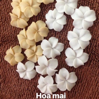 hoa bột nail, trang trí móng  hoa mai ( 7k/1b)