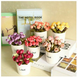 CHẬU LOVE HOA MINI ĐỂ BÀN ( KÈM ẢNH THẬT )