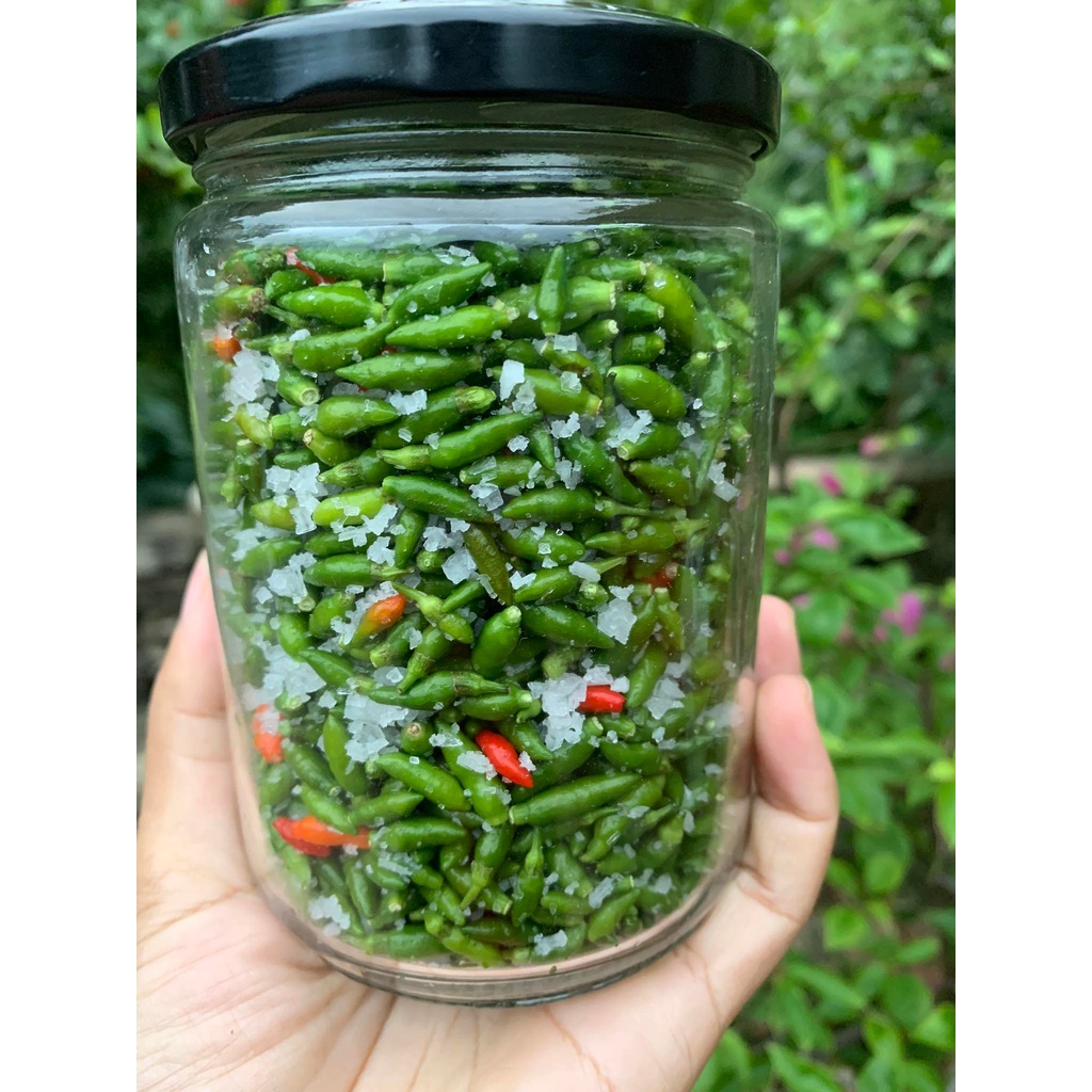 Ớt gió Hà Giang  xóc muối 🌶️cay , giòn, bảo quản quanh năm🌶️ Ớt cứt chuột siêu cay , tiện lợi