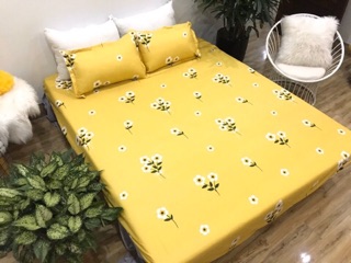 Sét 3 món ga chun cà 2 vỏ gối cottong poly