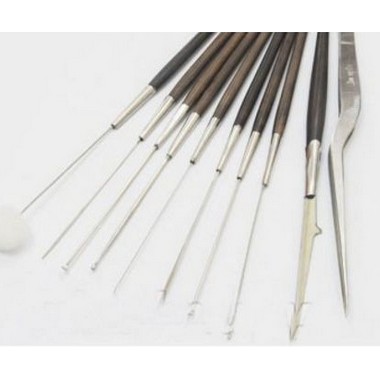 Bộ dụng cụ lấy ráy tai cao cấp 10 món