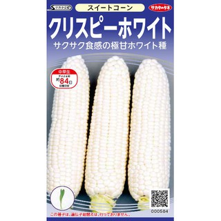 Hạt giống Bắp Nếp Nhật Bản 1dL ( Ngô Nếp Ngọt Nhật) - Hạt màu trắng Ngọc Trai tinh tế, vị sáp mềm dẻ, ngọt dịu rất ngon.