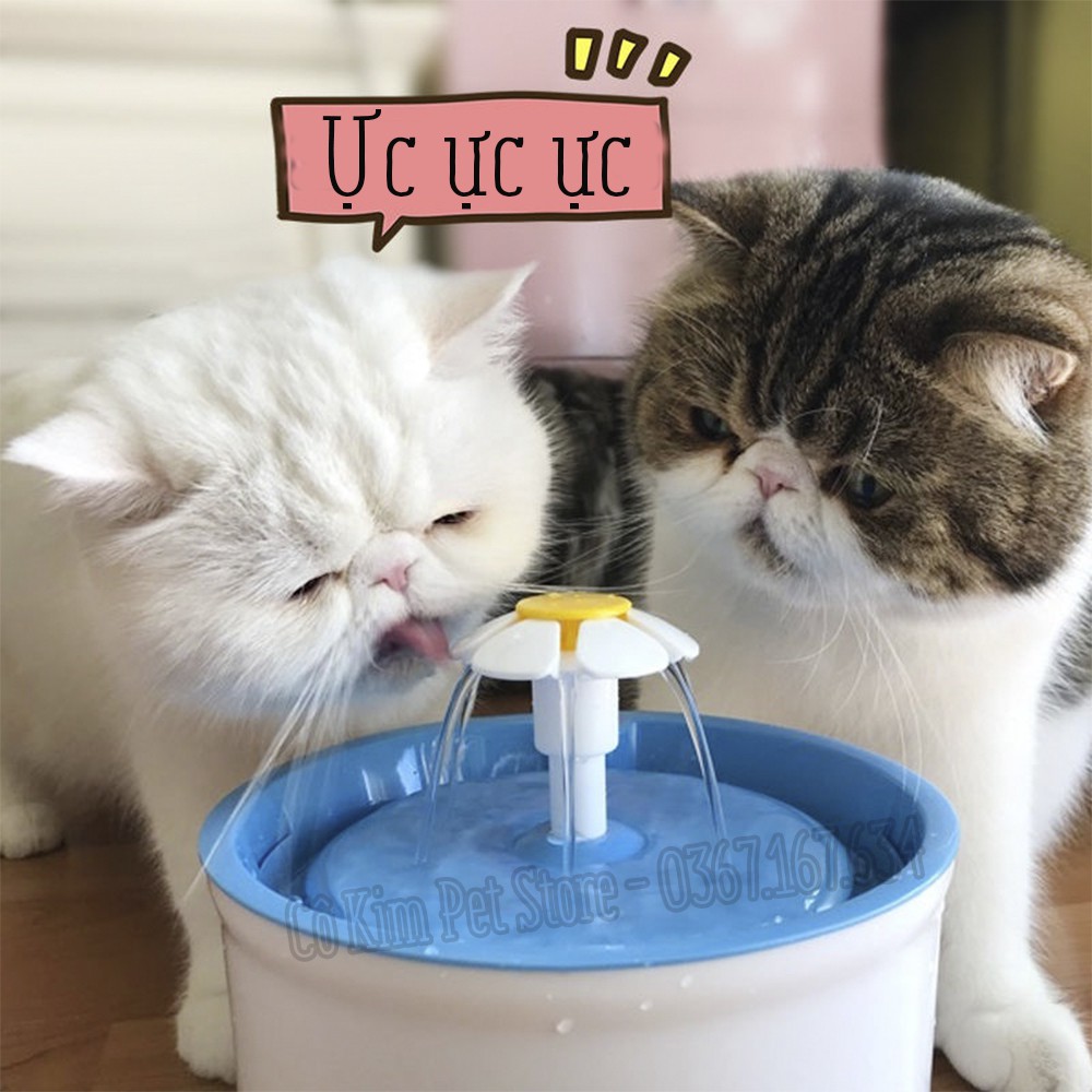 Máy lọc nước cho chó mèo, đài phun nước uống nước cho chó mèo