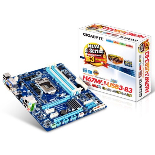 Main socket 1155 tổng hợp
