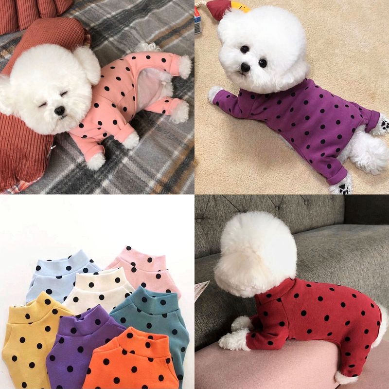 Trang Phục Xuân Hè Mới Xinh Xắn Cho Thú Cưng
