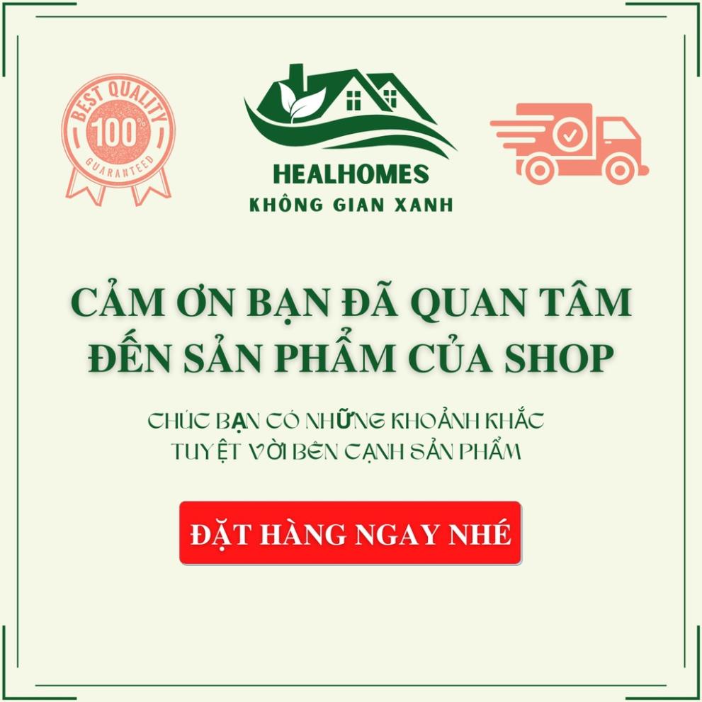 Lót lọ hoa cói đan hoa, trang trí decor Mây Tre Đan, đồ dùng không gian phòng bếp, sản phẩm thủ công mỹ nghệ / HealHomes