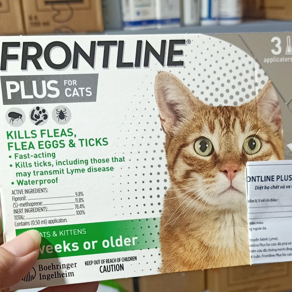 Frontline ( 1 Hộp ) - Nhỏ Gáy Mèo - Ve , Rận , Bọ Chét