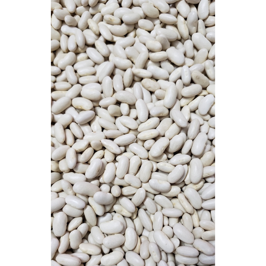 Đậu Trắng Tây - Argentina, 500g