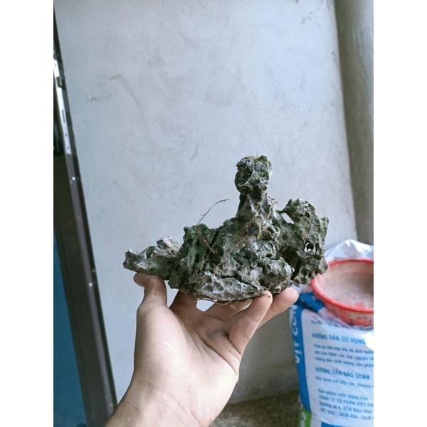 Đá tai mèo ghép cây cảnh bonsai.trang trí bể cá