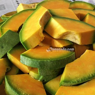 CÂY GIỐNG BƠ RUỘT ĐỎ