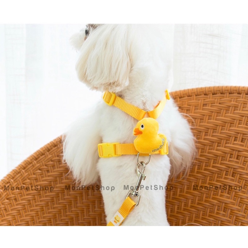 [Có sẵn] Set yếm dắt cao cấp cho thú cưng