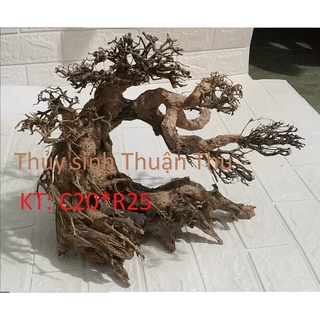 Lũa Bonsai Thủy Sinh nhiều size (lũa ghép)