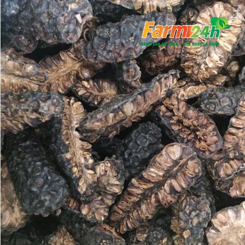 Trái nhàu khô tự nhiên giảm đau nhức xương khớp, nhuận tràng, ổn định huyết áp, thải độc, ngừa gout | Farm24h