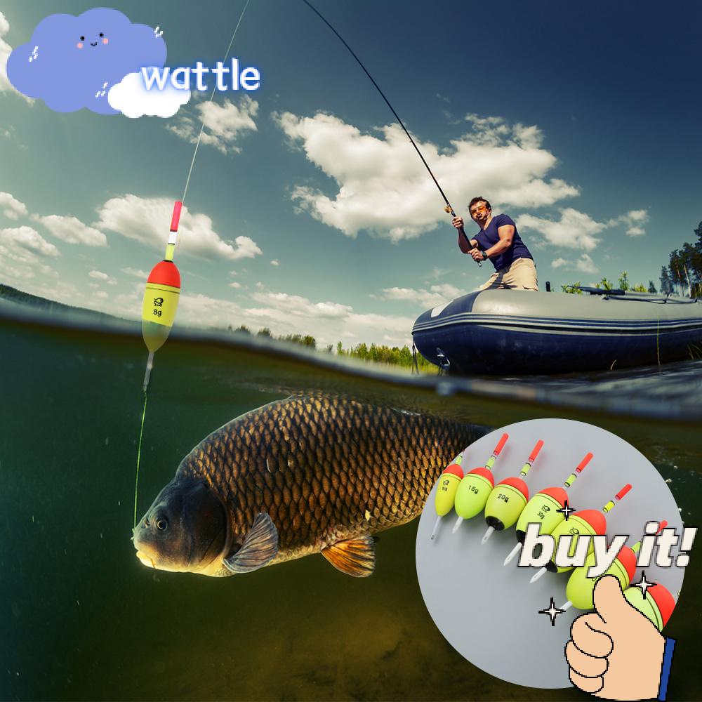Phao Câu Cá Điện Tử Ban Đêm Chất Lượng Cao