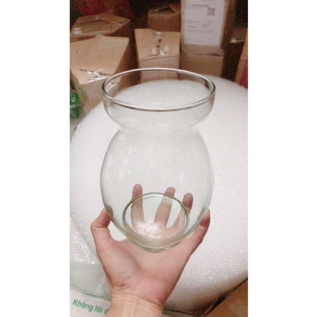 Chậu Thuỷ Tinh Trồng Thuỷ Sinh