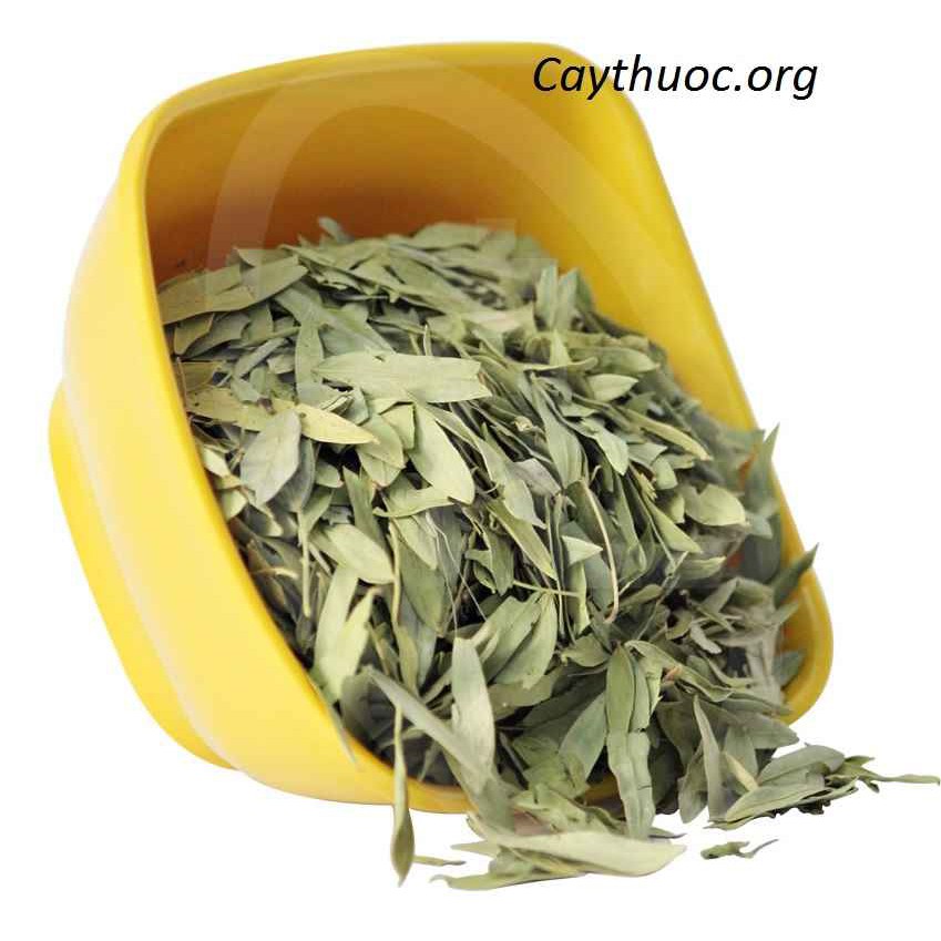 Lá phan tả diệp khô 500g