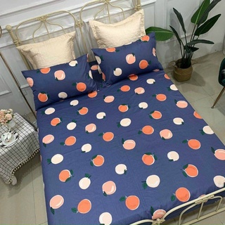 Sét gối và ga chun chần bông