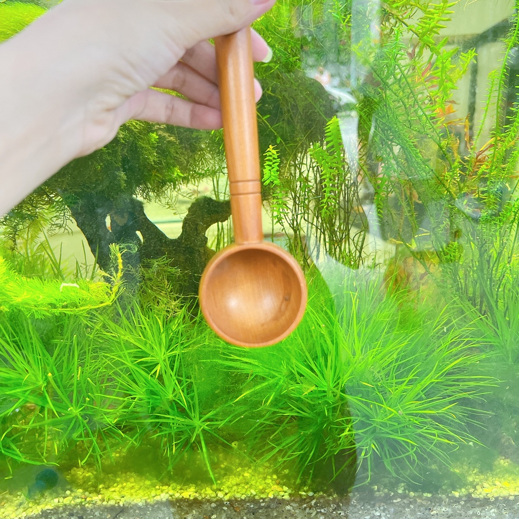 Gáo dừa múc rượu - Gáo dừa TRÒN
