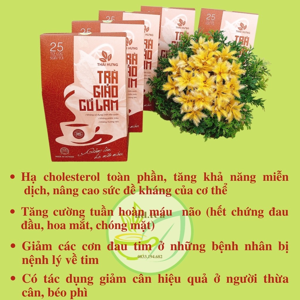 Trà Túi Lọc Giảo Cổ Lam, Giảm Cân, Hạ Mỡ Máu - 25 Túi lọc 125gr / ad.tea