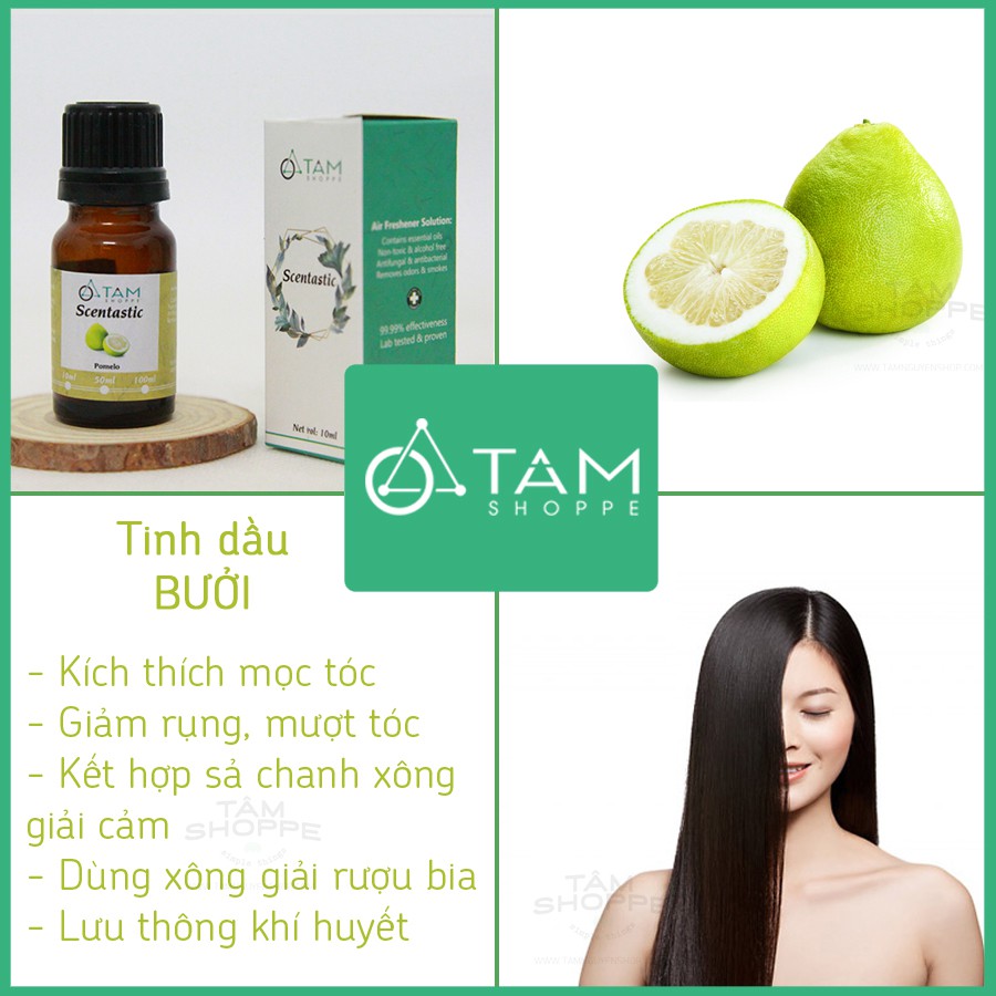 [TD ORGANIC] Tinh dầu vỏ bưởi 10ml tinh chất 100% Scentastic