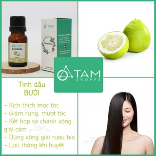[NGUYÊN CHẤT 100%] Tinh dầu vỏ bưởi 10ml tinh chất 100% Scentastic